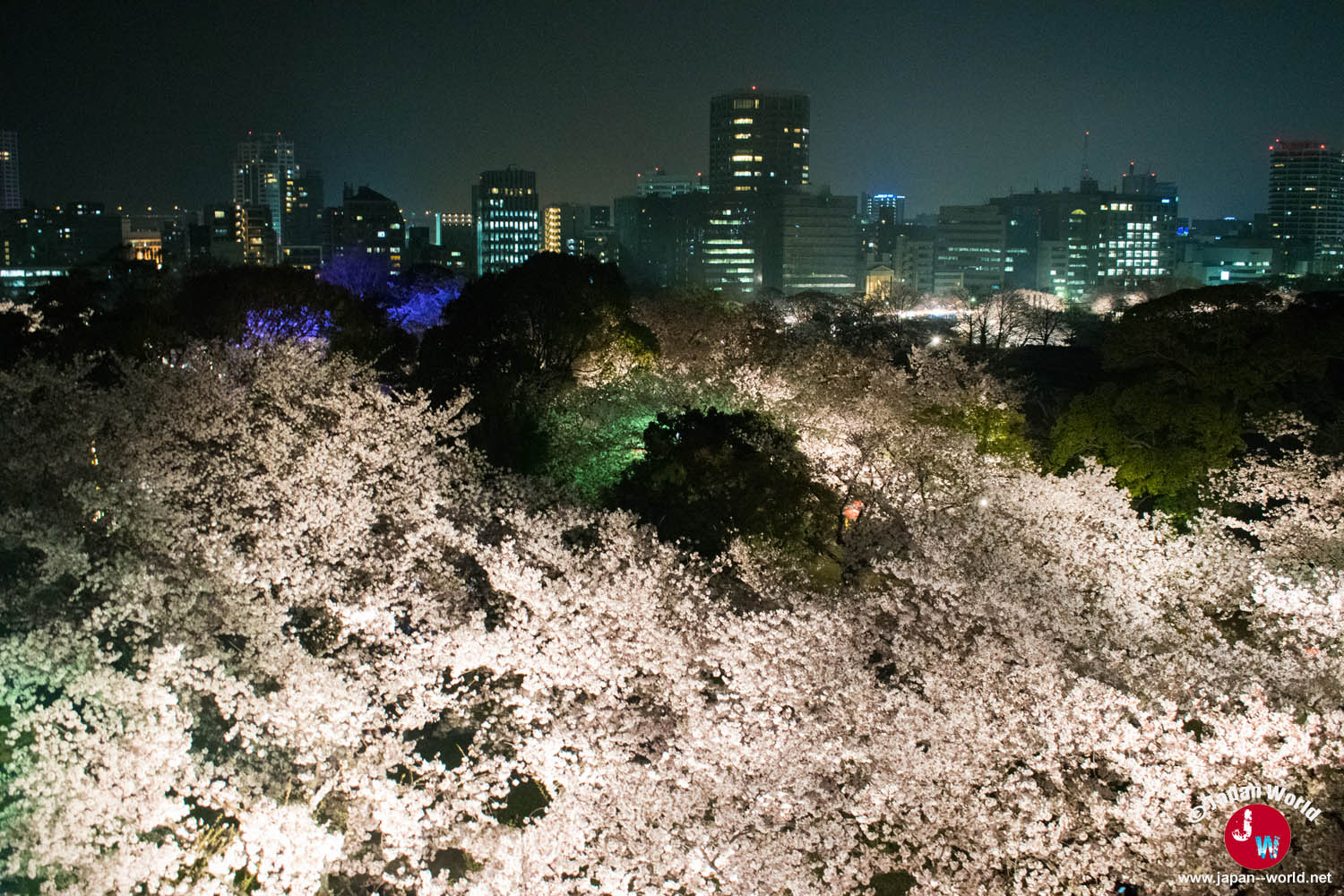 Panorama nocturne sur les cerisiers du parc Maizuru et le centre de Fukuoka