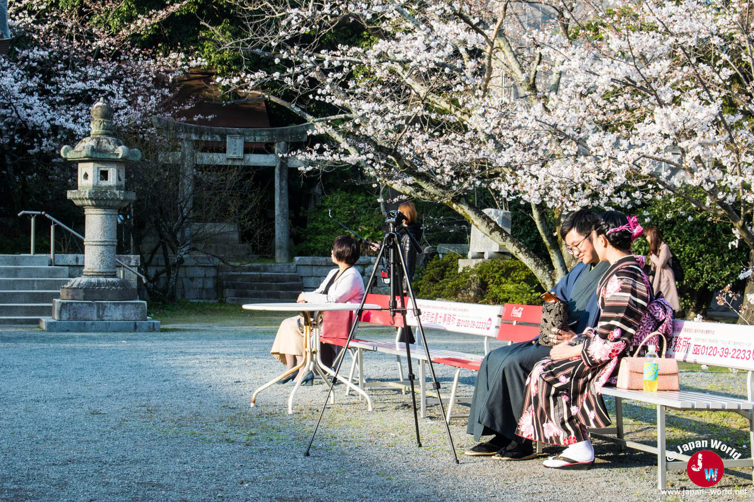 Deux femmes en kimono assises près d'un sanctuaire sous les cerisiers de Nishi-kōen