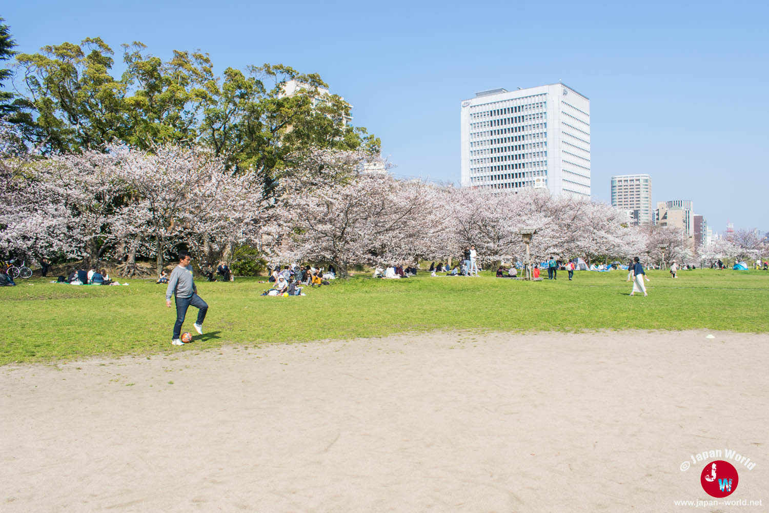 Enfants jouant sur la pelouse devant les cerisiers d'Ōhori-kōen