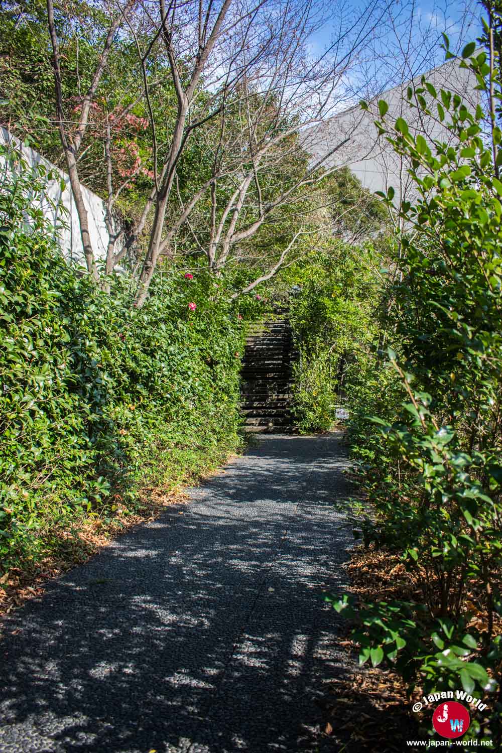 Montée à l'observatoire au Tenjin Central Park à Fukuoka