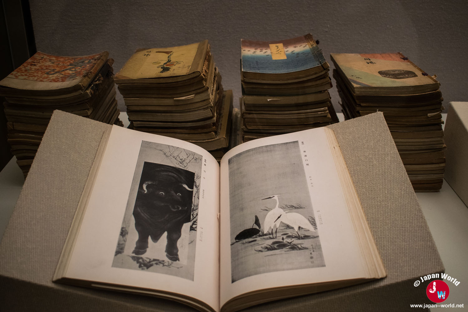 Ouvrage illustré ouvert devant plusieurs piles de livres anciens