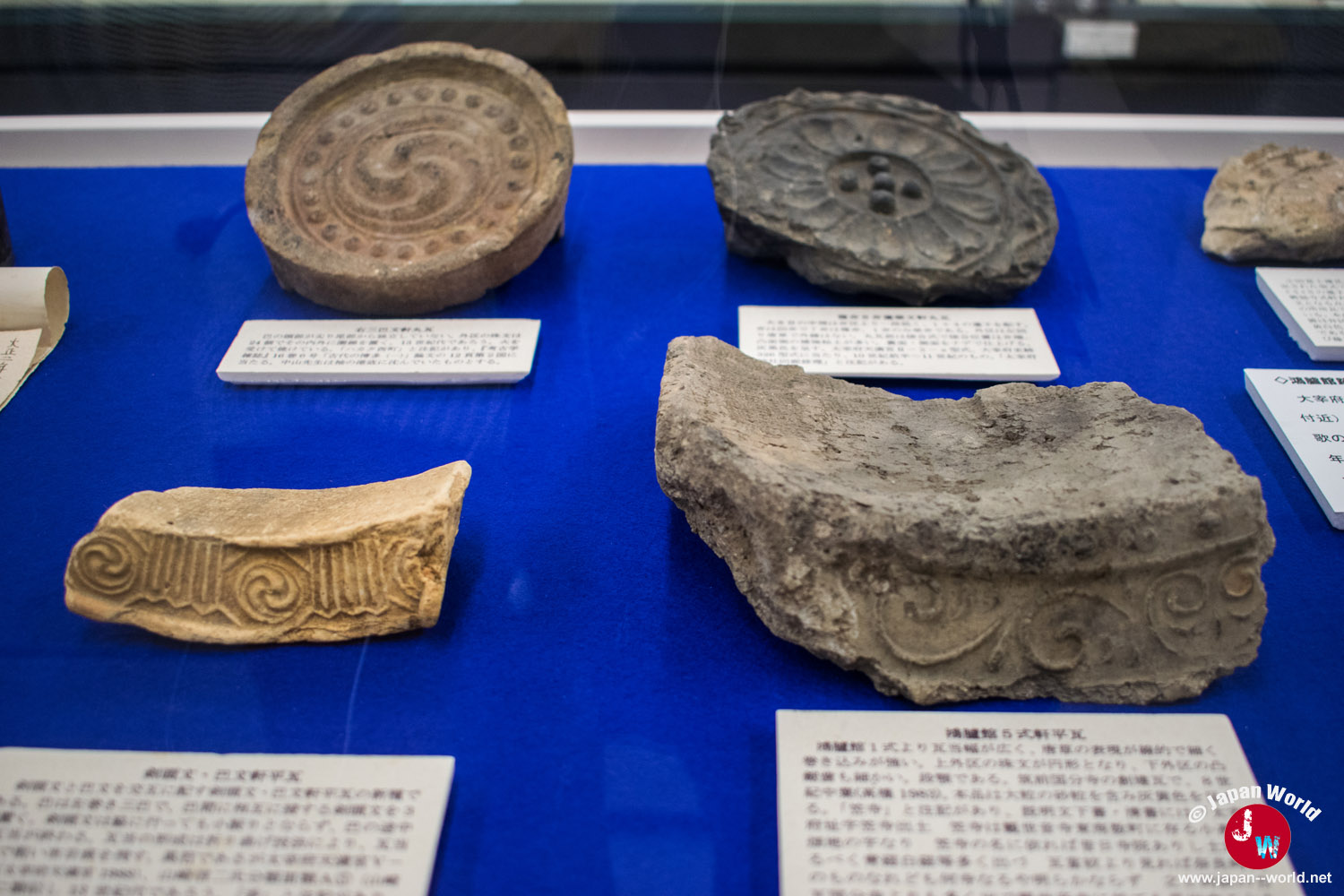 Fragments de tuiles anciennes ornées de motifs circulaires exposés sous vitrine
