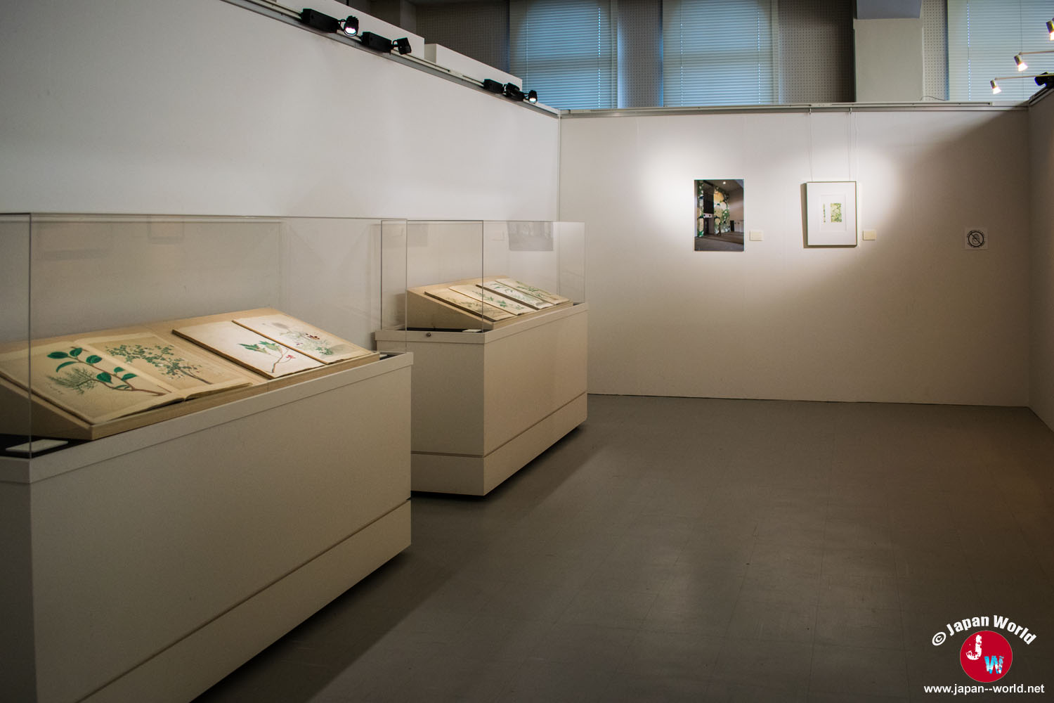 Petite salle de l'exposition temporaire avec des ouvrages et des illustrations botaniques