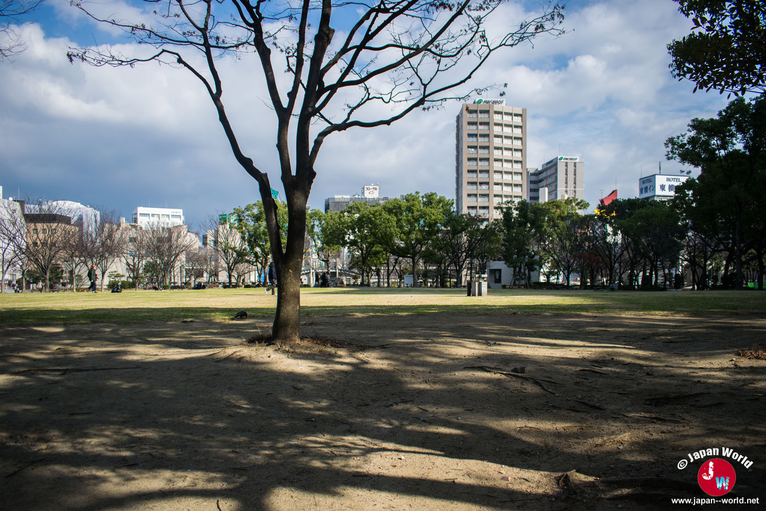 Grande pelouse du Tenjin Central Park entourée d'arbres et d'immeubles