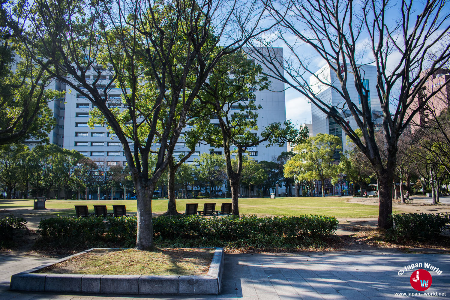 Bancs face à la pelouse du Tenjin Central Park au cœur de Fukuoka