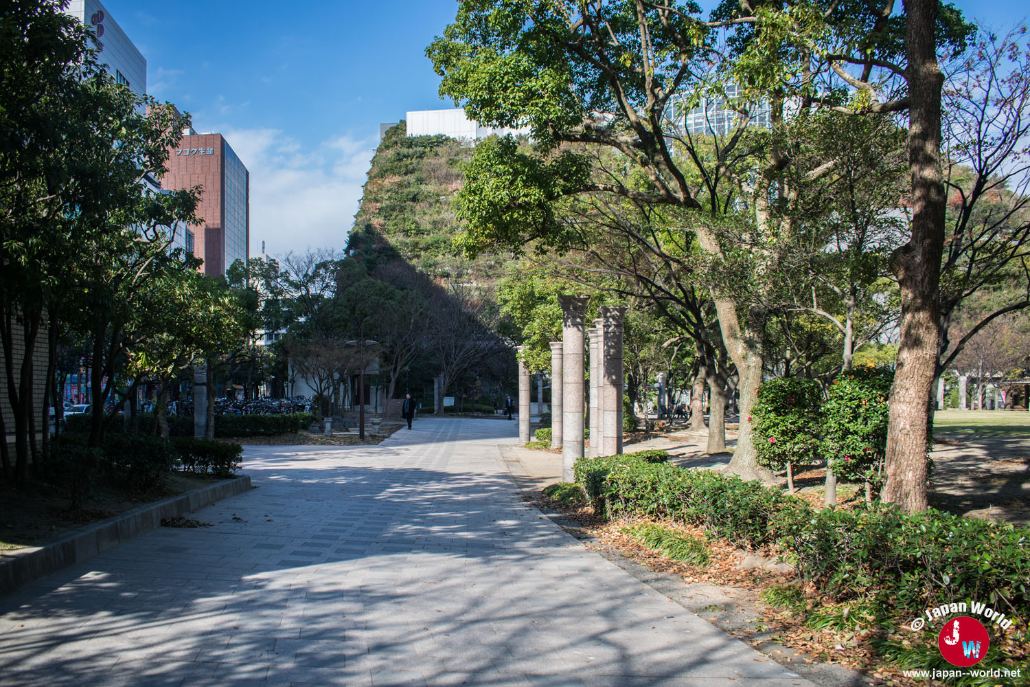 Promenade arborée menant vers la façade végétalisée d'ACROS Fukuoka