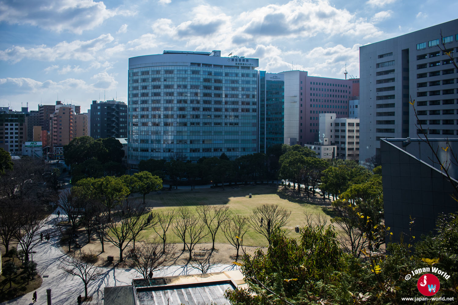 Pelouse du Tenjin Central Park vue depuis les hauteurs d'ACROS Fukuoka