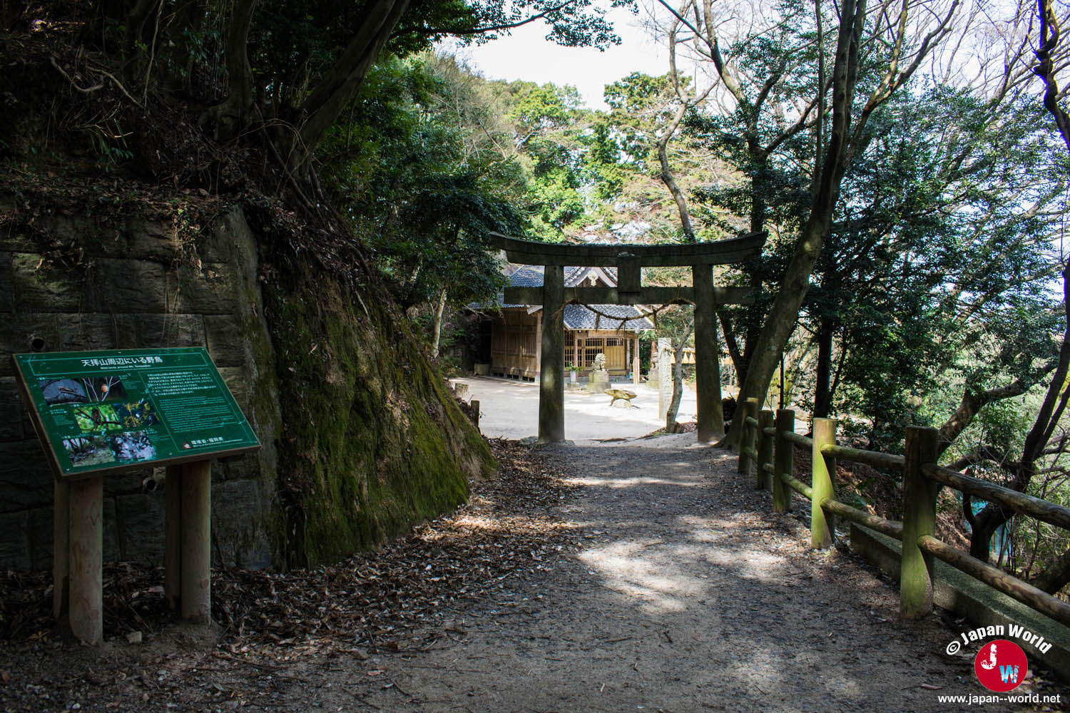 Torii du premier sanctuaire rencontré sur le mont Tenpaizan