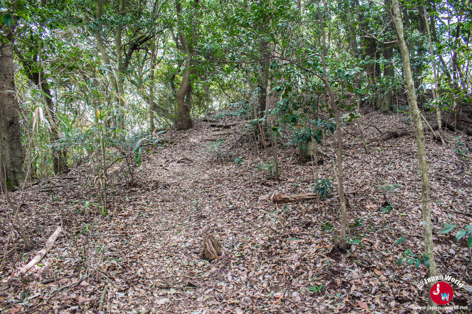 Sentier escarpé du chemin alternatif du mont Tenpaizan