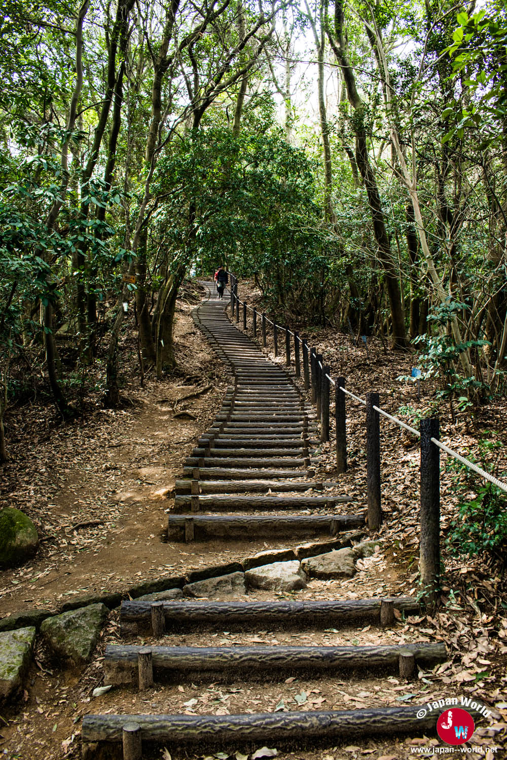 Long escalier en rondins pendant l'ascension du mont Tenpaizan