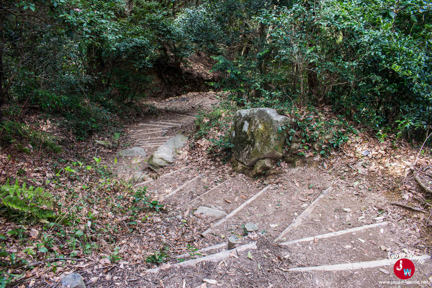 Descente en colimaçon derrière le sanctuaire du mont Tenpaizan