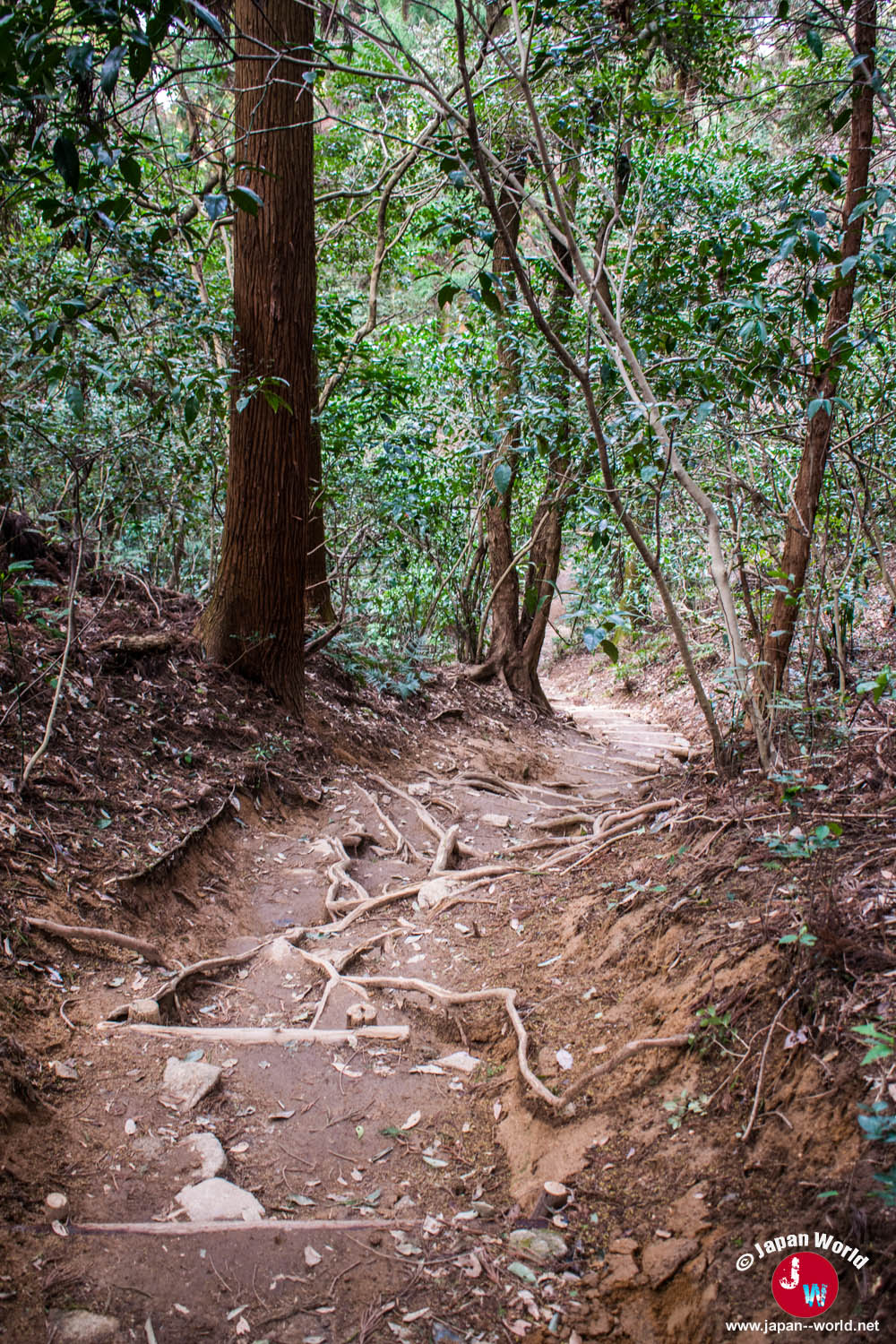 Sentier étroit pendant la descente du mont Tenpaizan