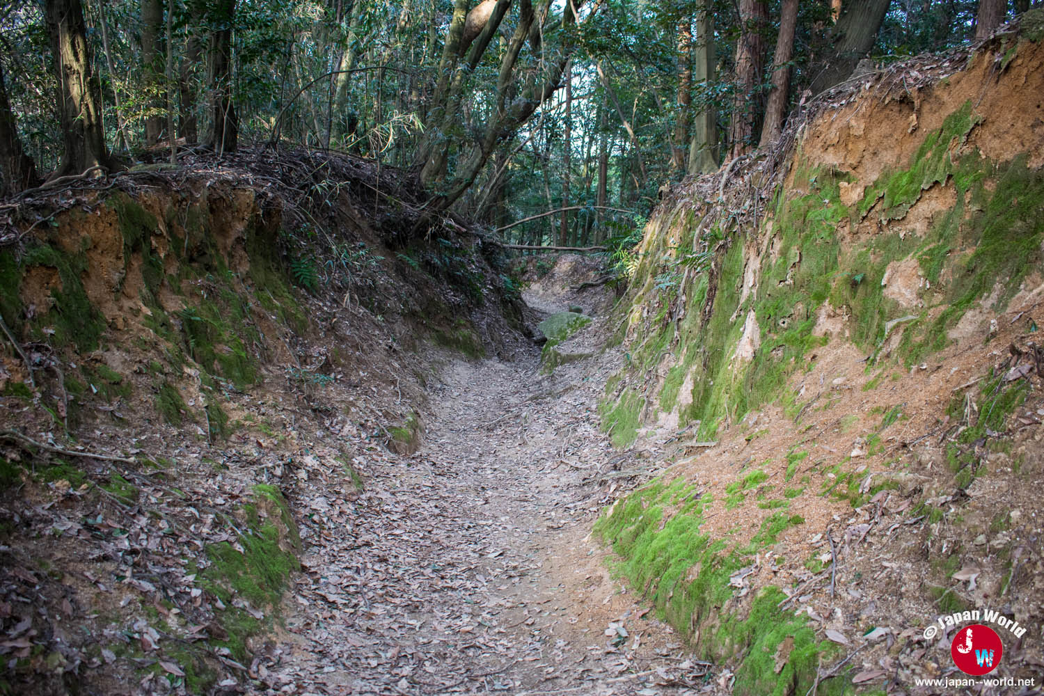 Chemin creusé dans le terrain pendant la descente du Tenpaizan