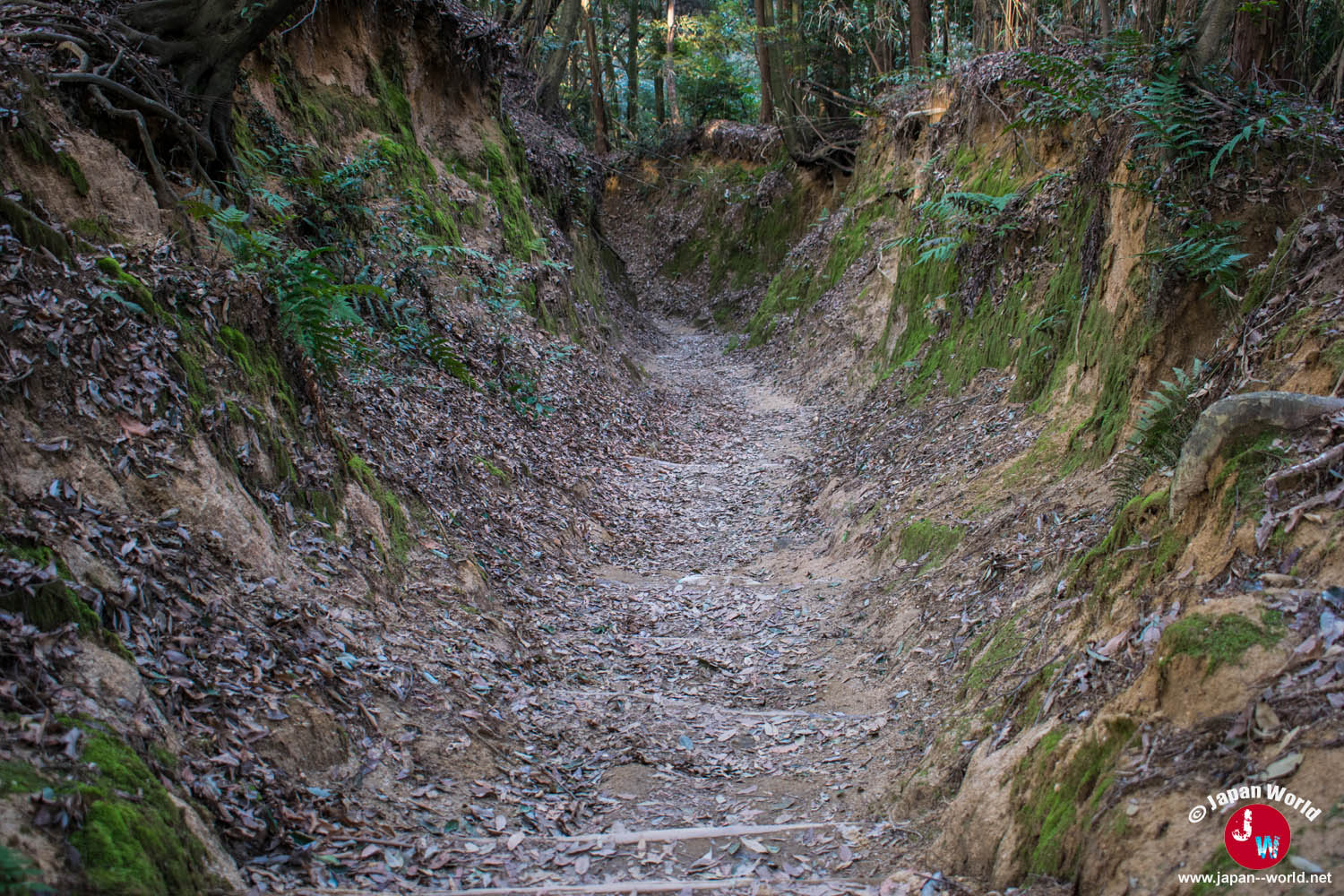 Sentier parallèle descendant du mont Tenpaizan