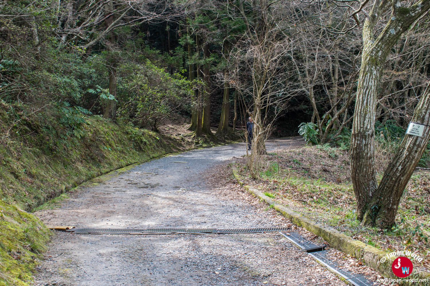 Route aménagée montant vers le torii du mont Tenpaizan