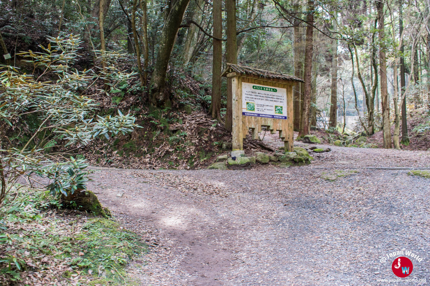 Embranchement forestier où tourner à gauche vers le mont Tenpaizan