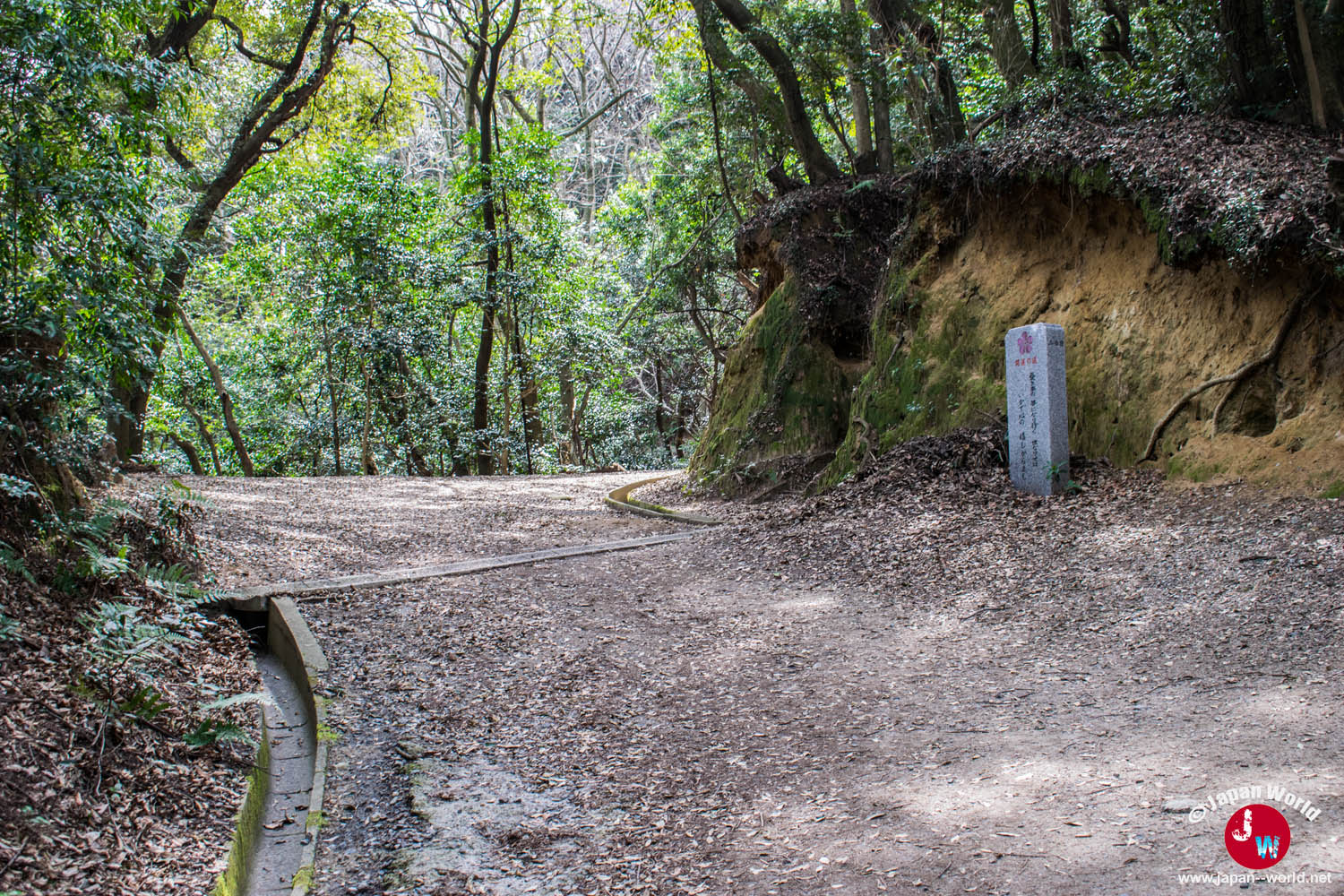 Large chemin forestier pendant la montée du mont Tenpaizan