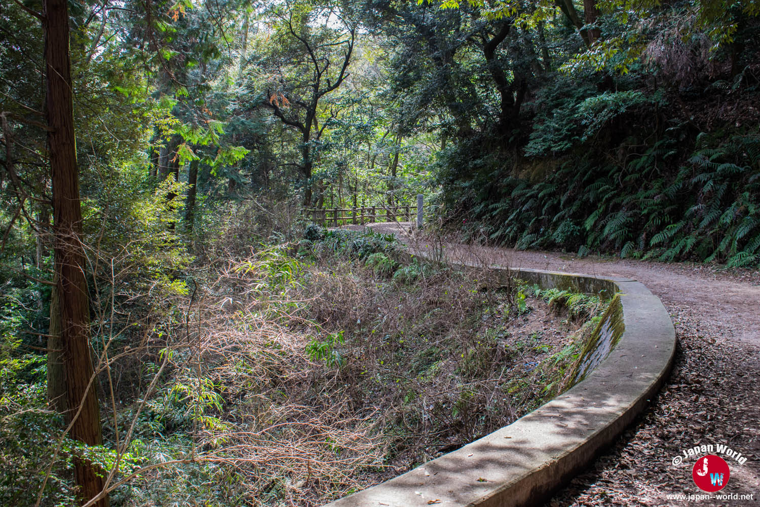 Route aménagée serpentant dans la forêt du mont Tenpaizan
