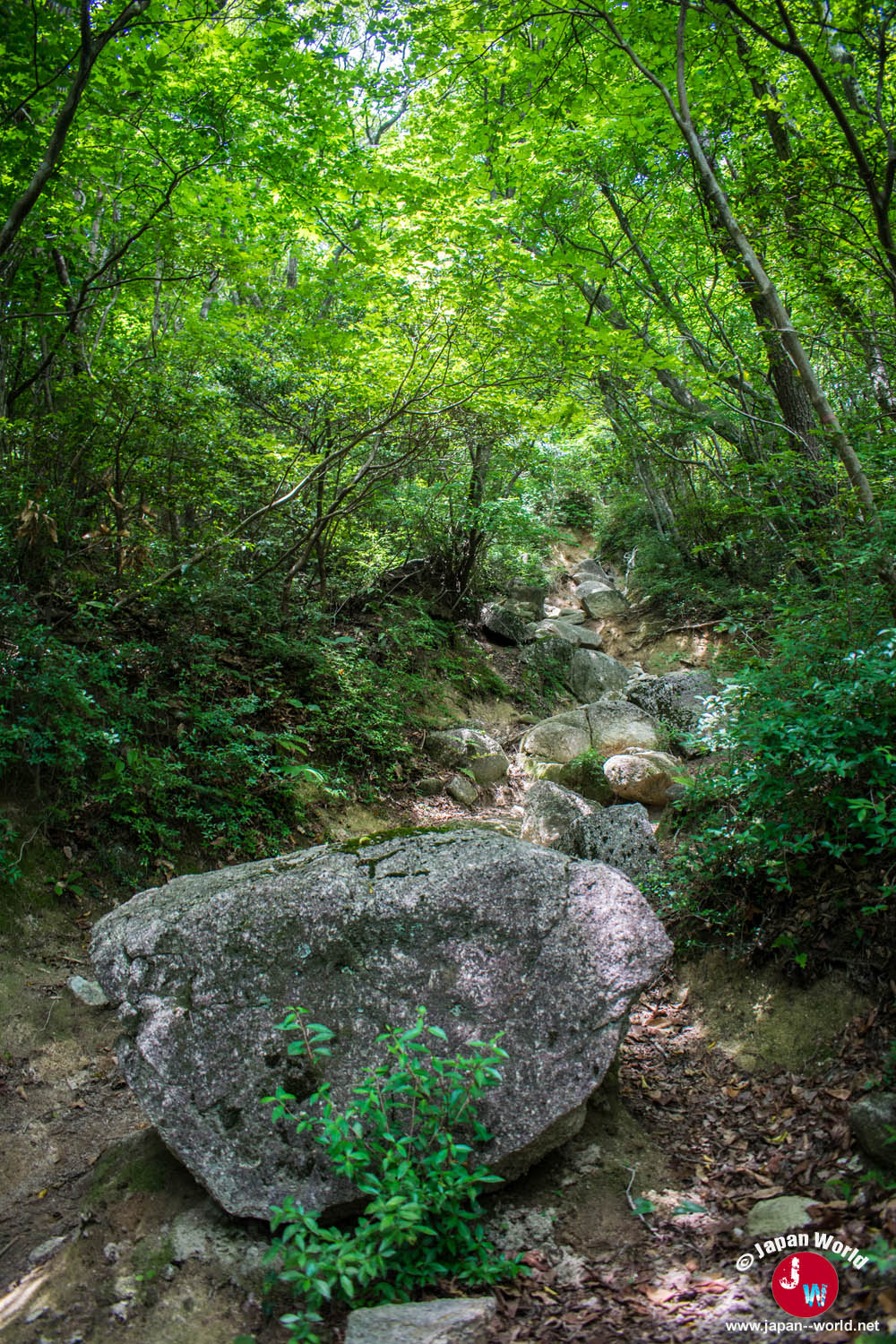 Rocher couvert de mousse au bord du chemin de Sangunsan