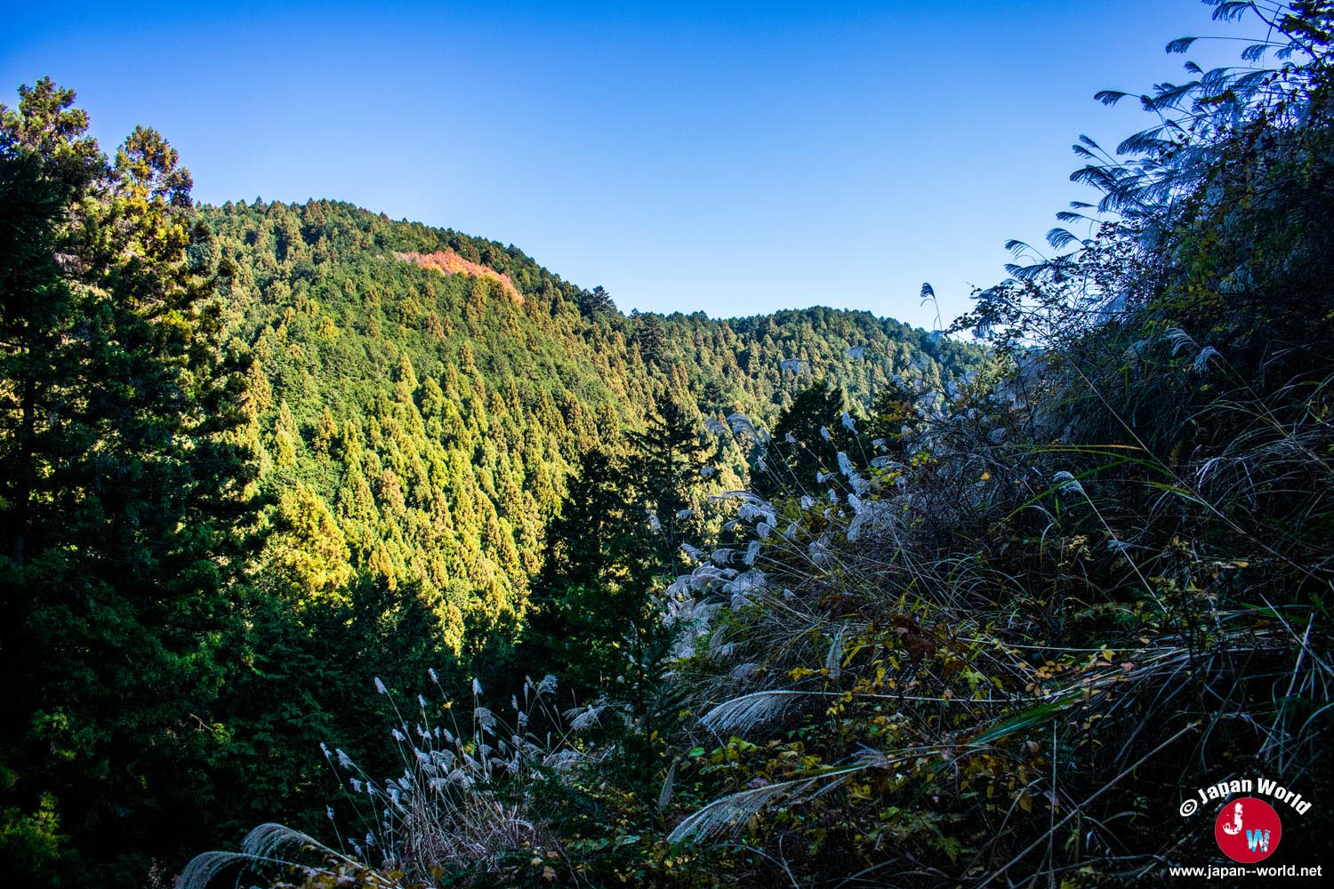 Premier panorama montagneux pendant l'ascension de Takamizu-sanzan