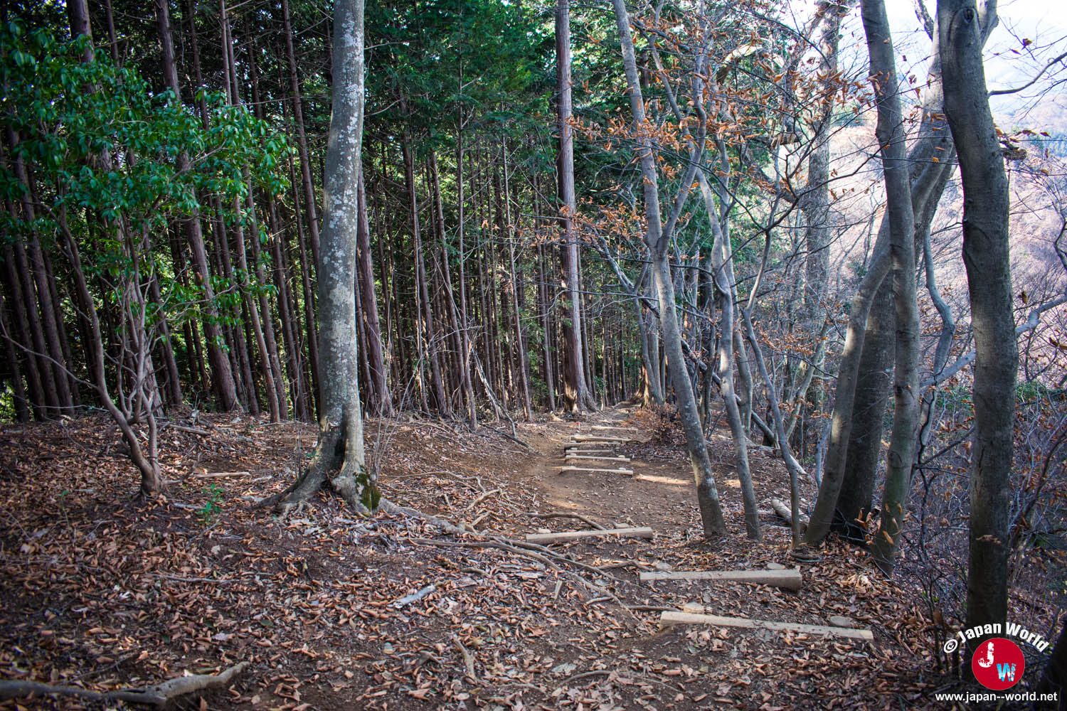 Sentier suivant la crête vers le mont Iwatakeishi