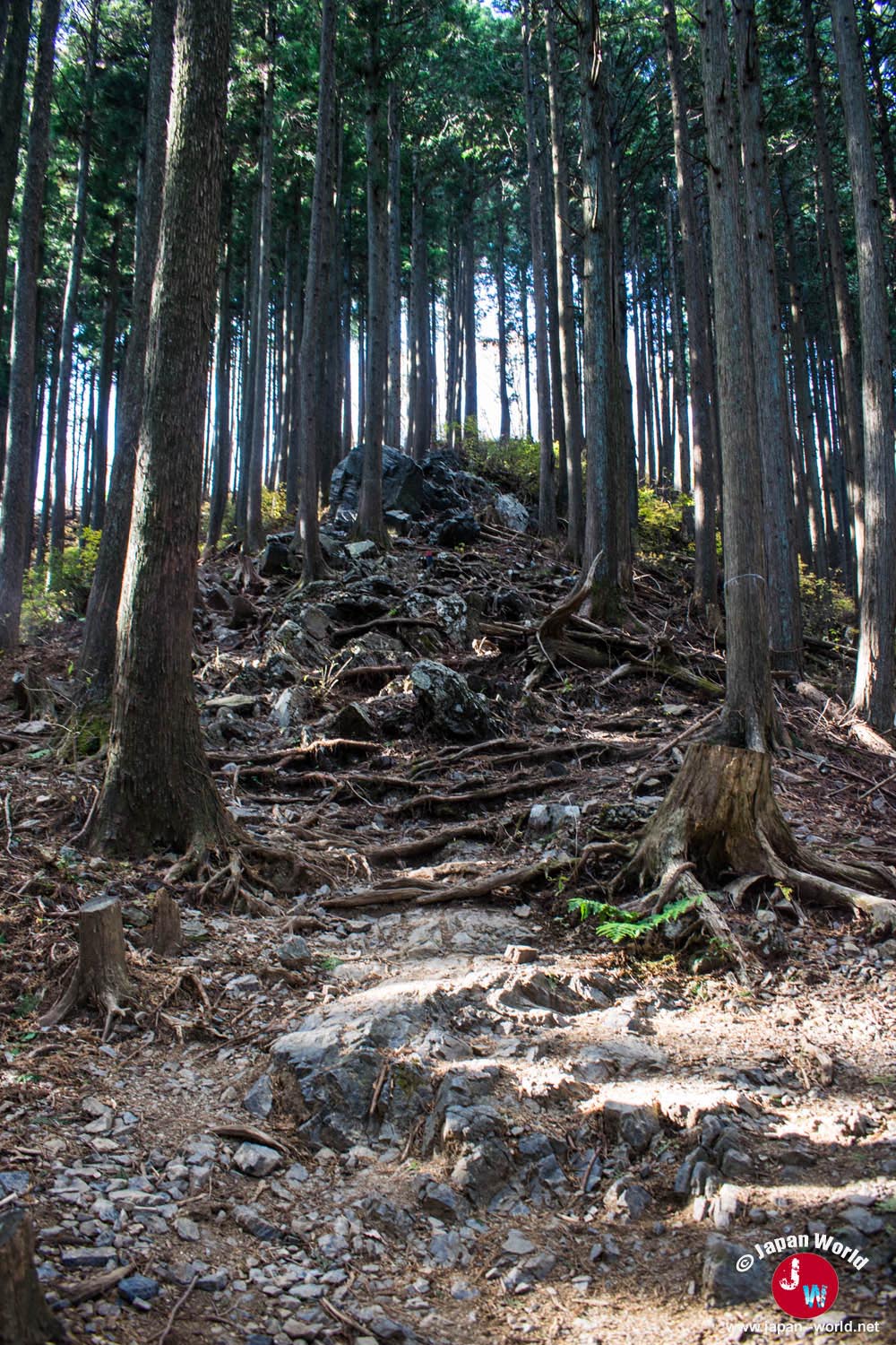 Montée rocheuse à travers les arbres vers Iwatakeishi