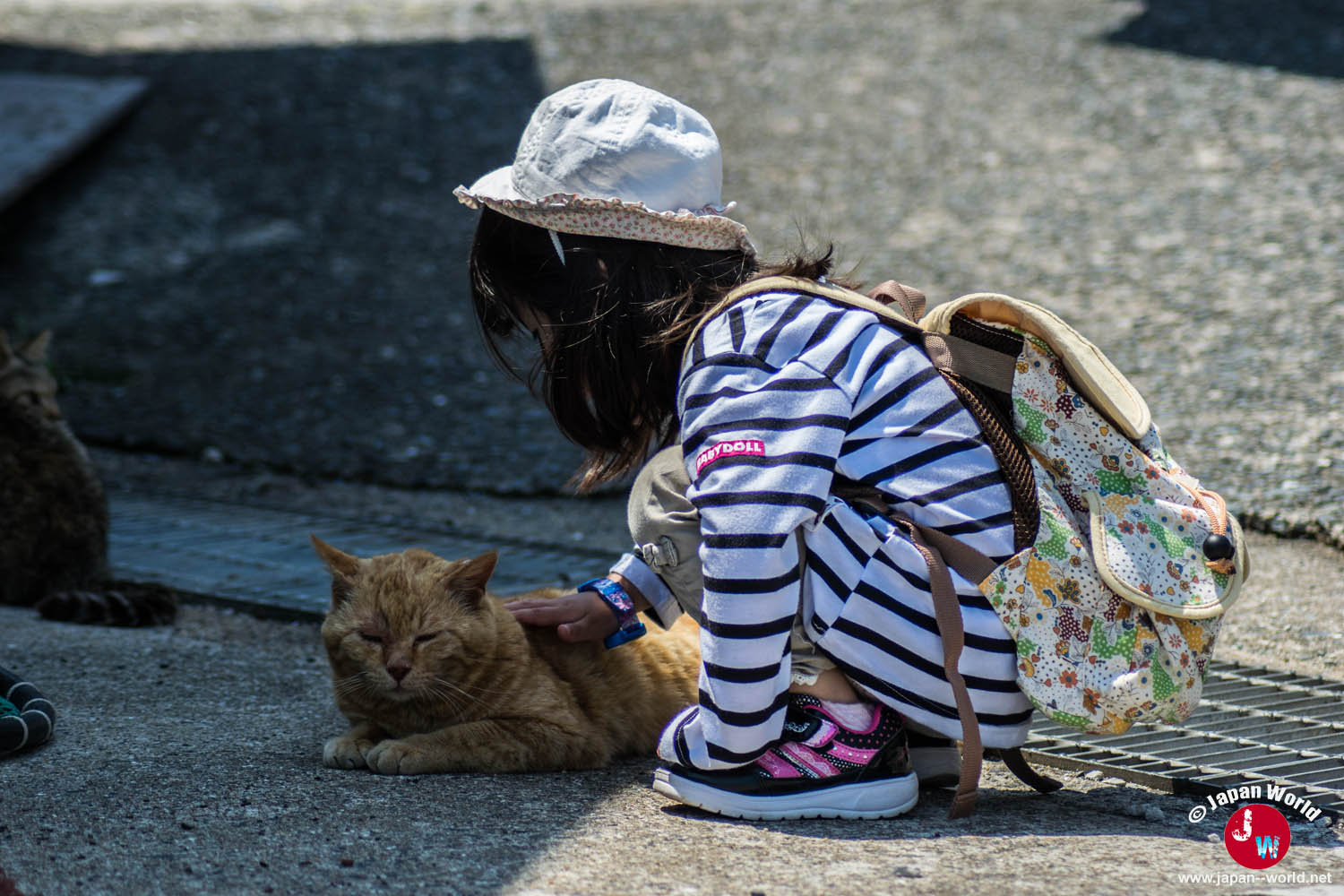 Enfant caressant un chat près du port d'Ainoshima