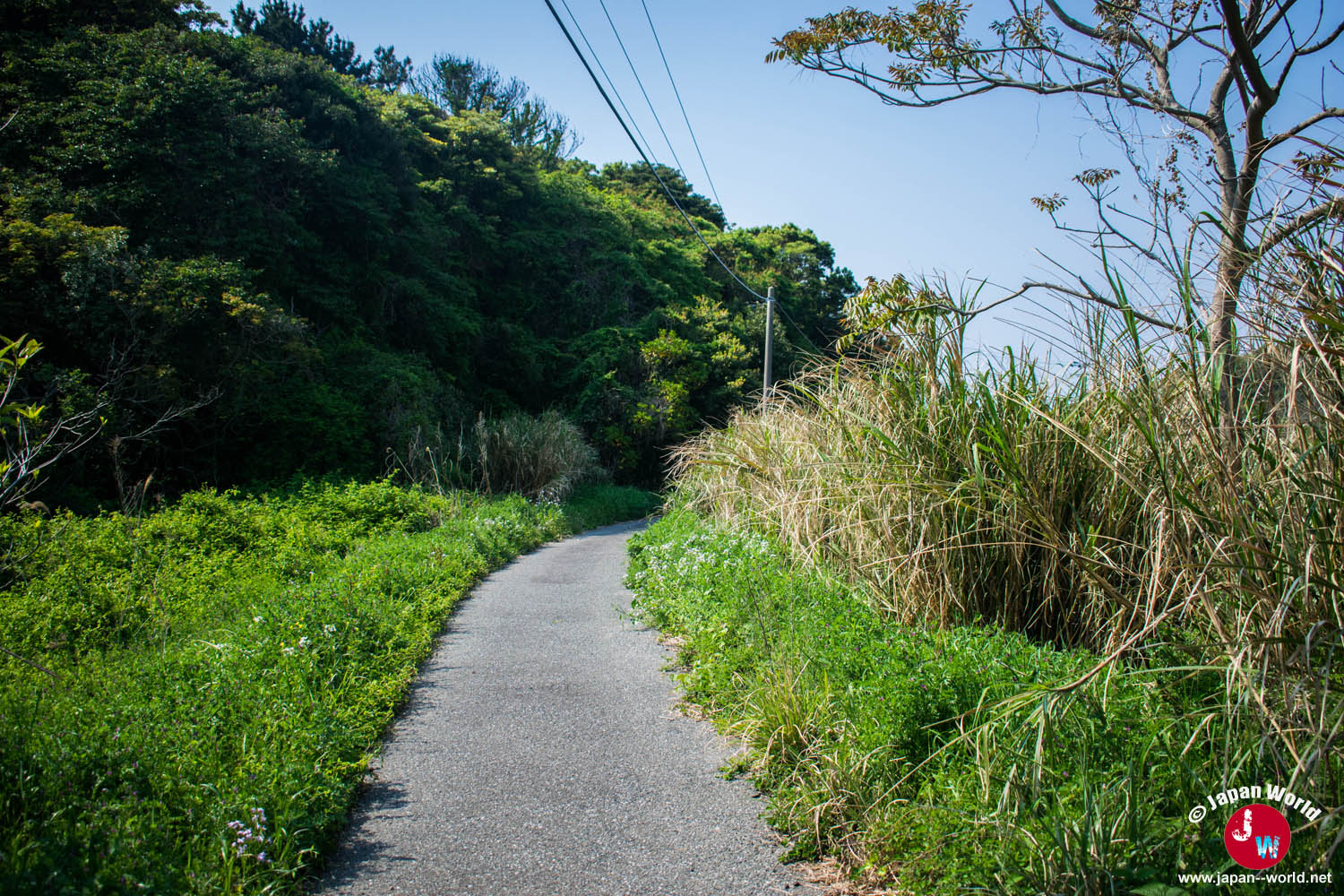 Route menant vers un point de vue sur l'île d'Ainoshima