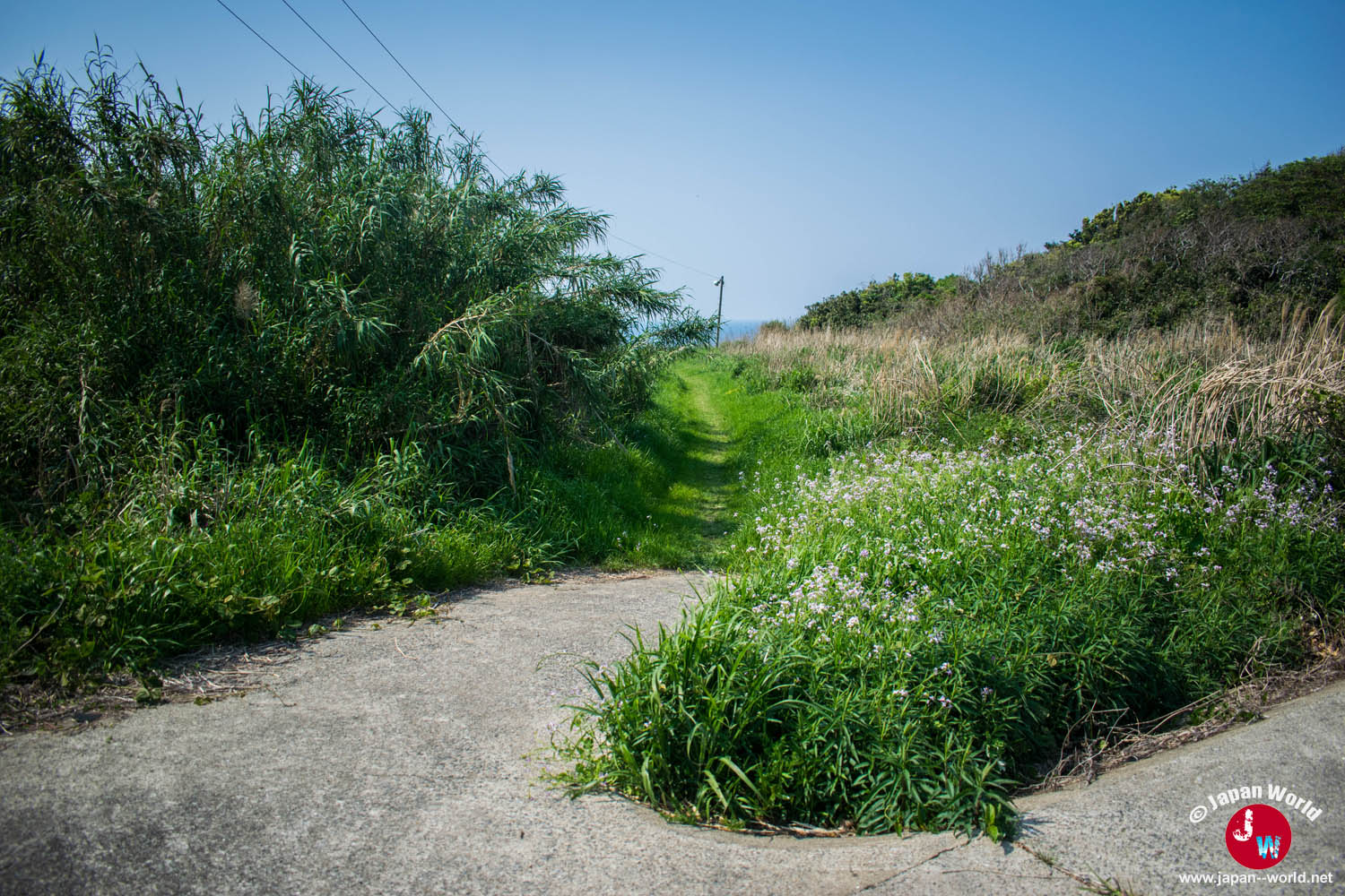 Petit chemin herbeux conduisant au point de vue d'Ainoshima