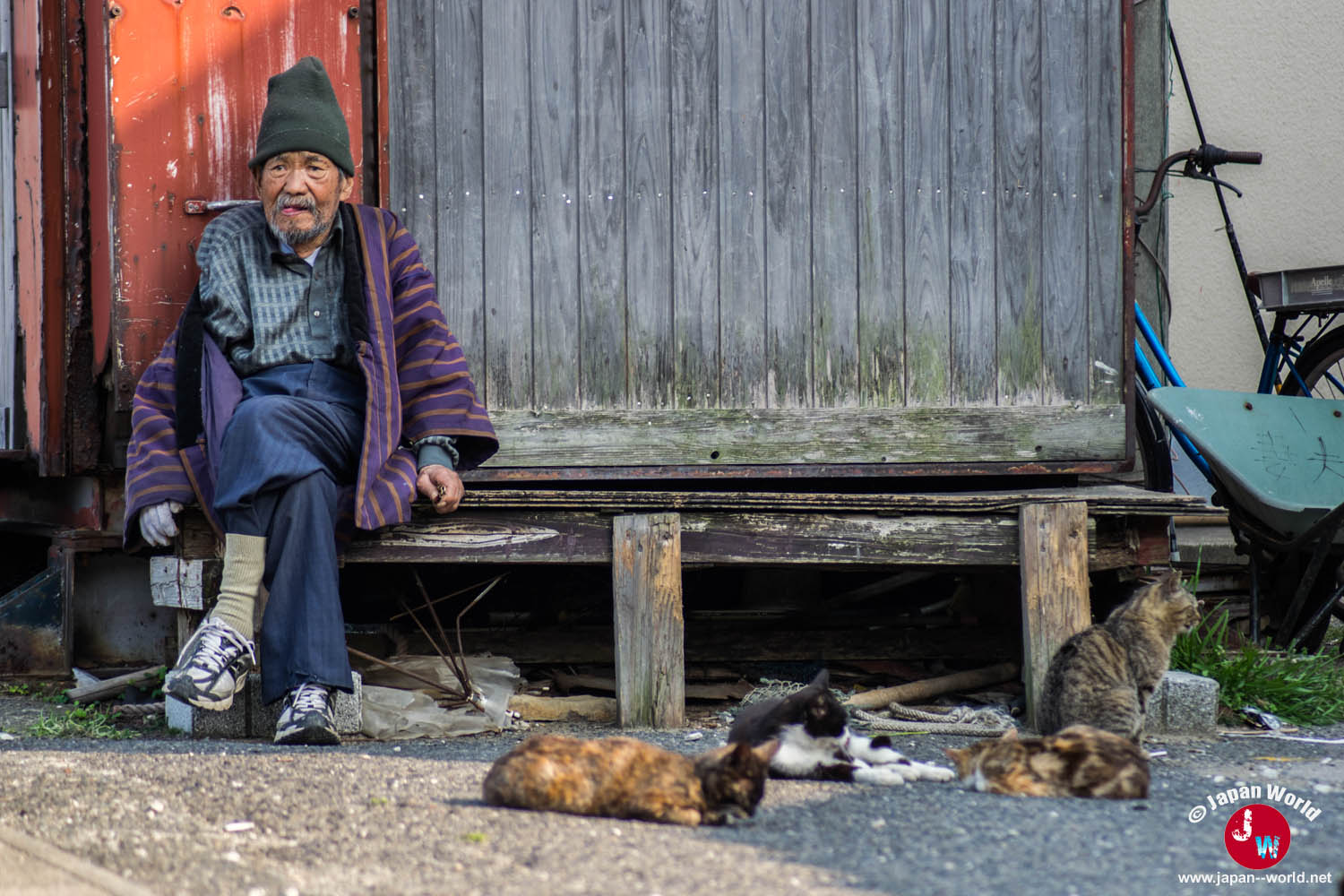 Habitant assis près de plusieurs chats dans le village d'Ainoshima