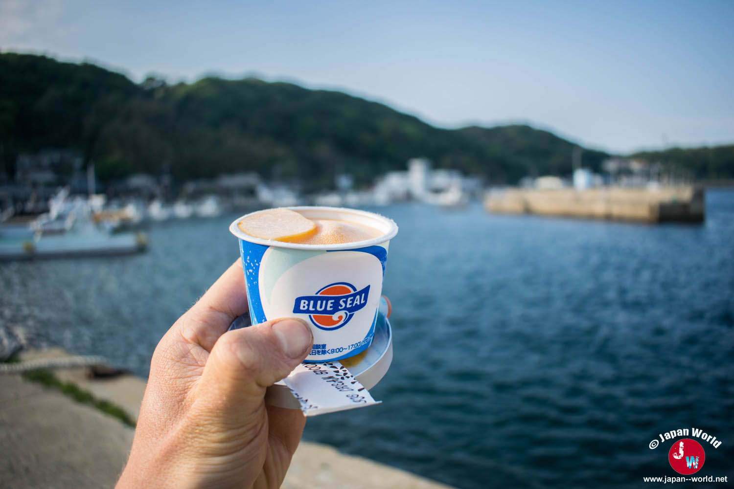 Glace dégustée face au port d'Ainoshima avant le retour