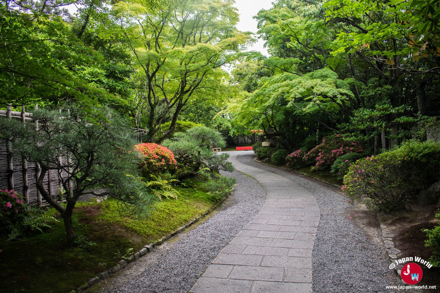 Allée arborée à l'entrée du parc Yusentei à Fukuoka