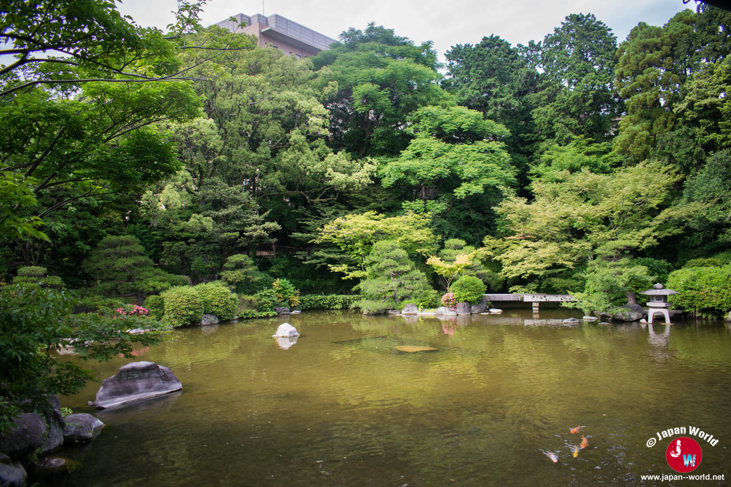 Jardin japonais contemplé depuis le hall Ohiroma de Yusentei