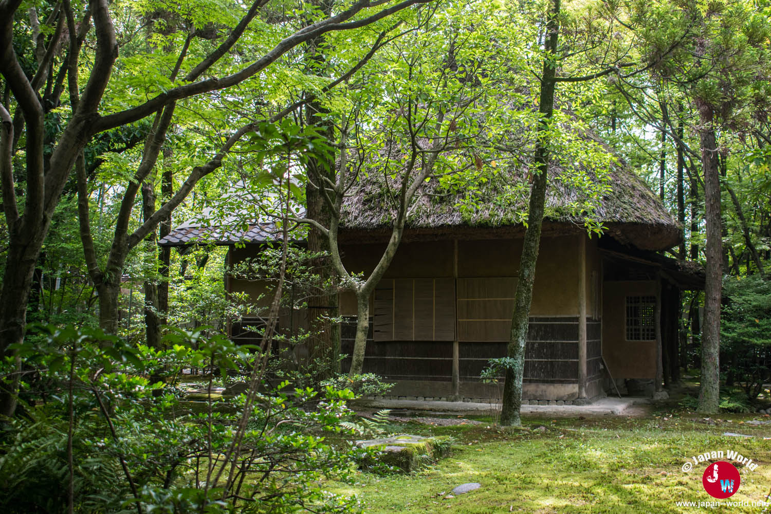 Salle de cérémonie du thé Josuian entourée par les arbres de Yusentei