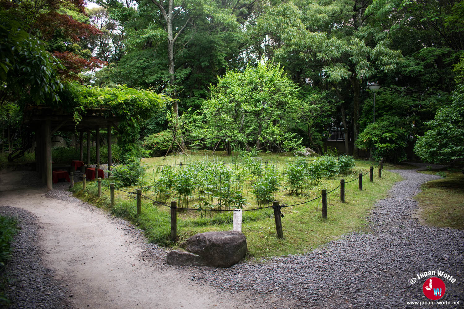 Chemins de gravier traversant le jardin japonais de Yusentei