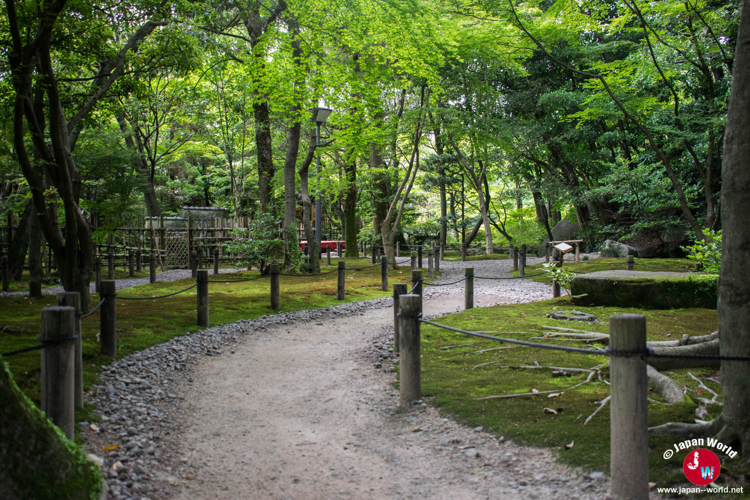 Allée bordée de mousse et d'arbres dans le parc Yusentei