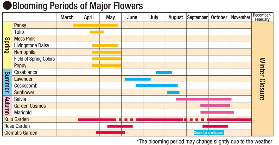 Calendrier en anglais des périodes de floraison au Kuju Flower Park