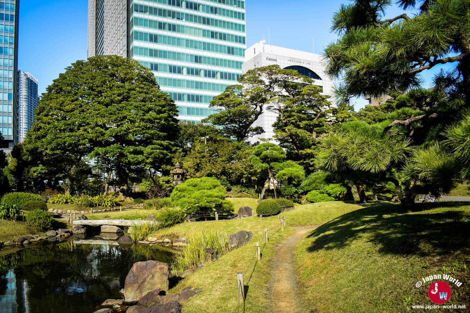 Pins taillés le long d'un sentier du jardin Kyu-Shiba-rikyu Onshi Teien