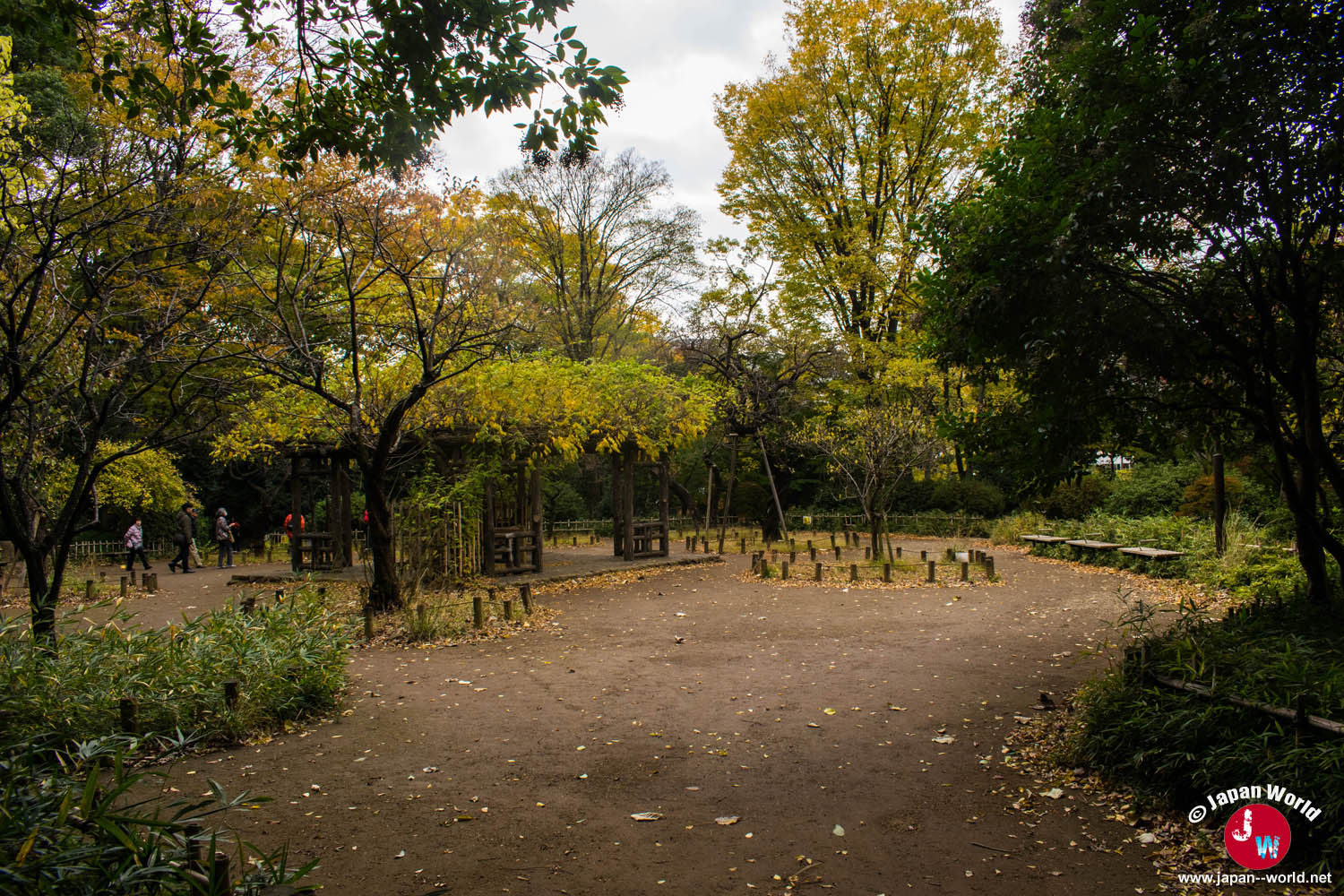 Sous-bois aux couleurs automnales dans le parc mémorial d'Arisugawa-no-miya