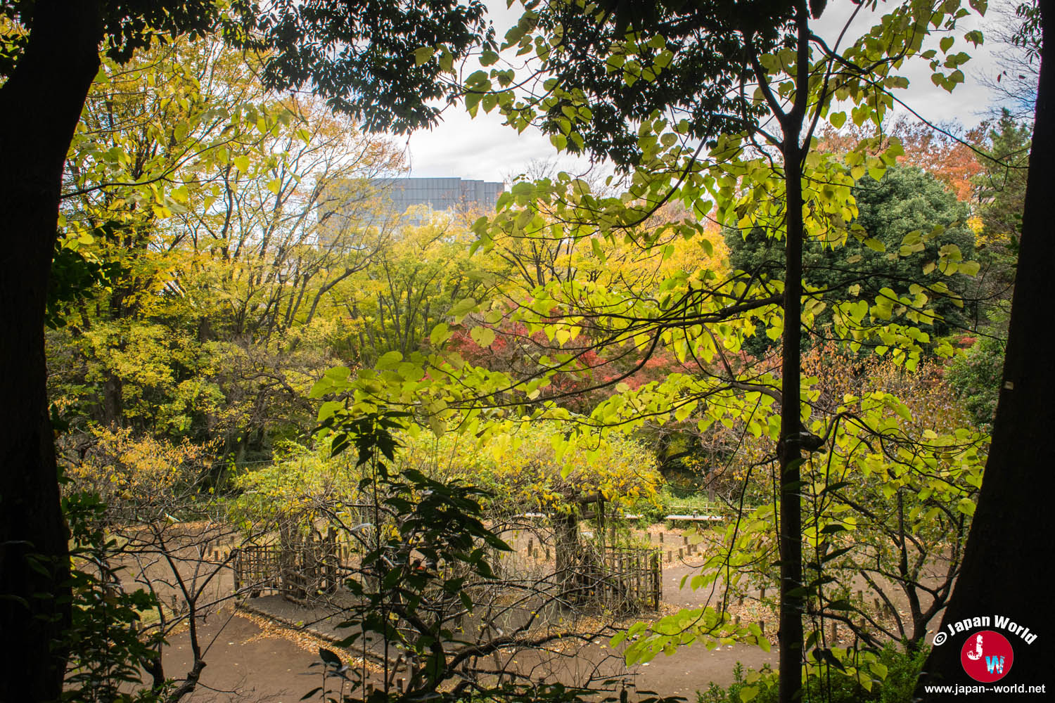 Vue du jardin à travers les feuillages du parc mémorial d'Arisugawa-no-miya