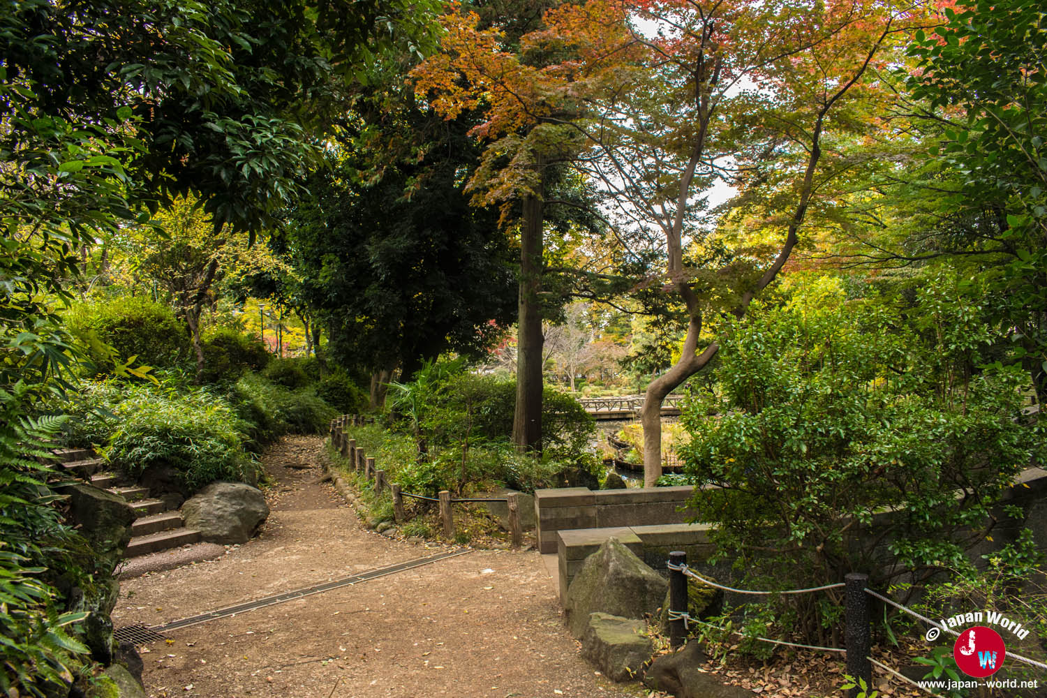 Sentier bordé d'arbres dans le parc mémorial d'Arisugawa-no-miya en automne