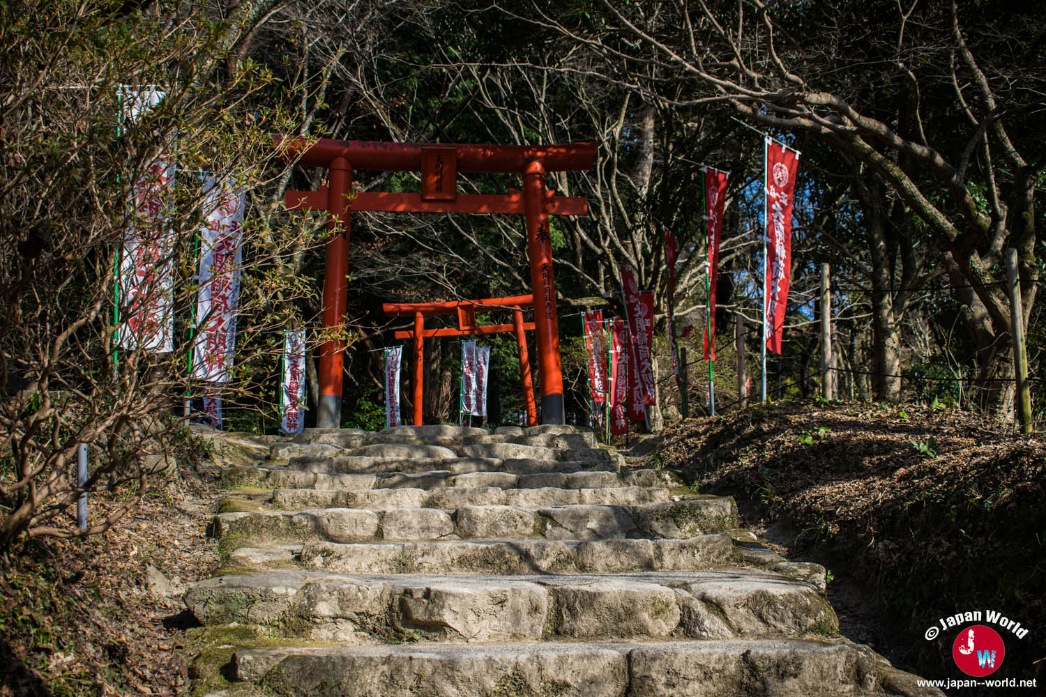 Torii rouges sur les marches derrière le sanctuaire Dazaifu Tenman-gu