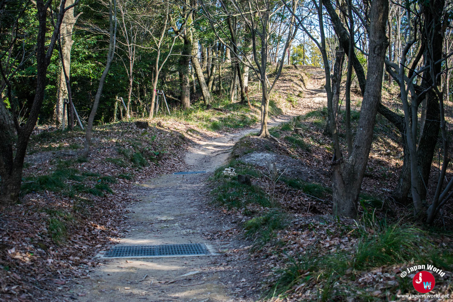 Chemin de randonnée dans les bois derrière Dazaifu Tenman-gu