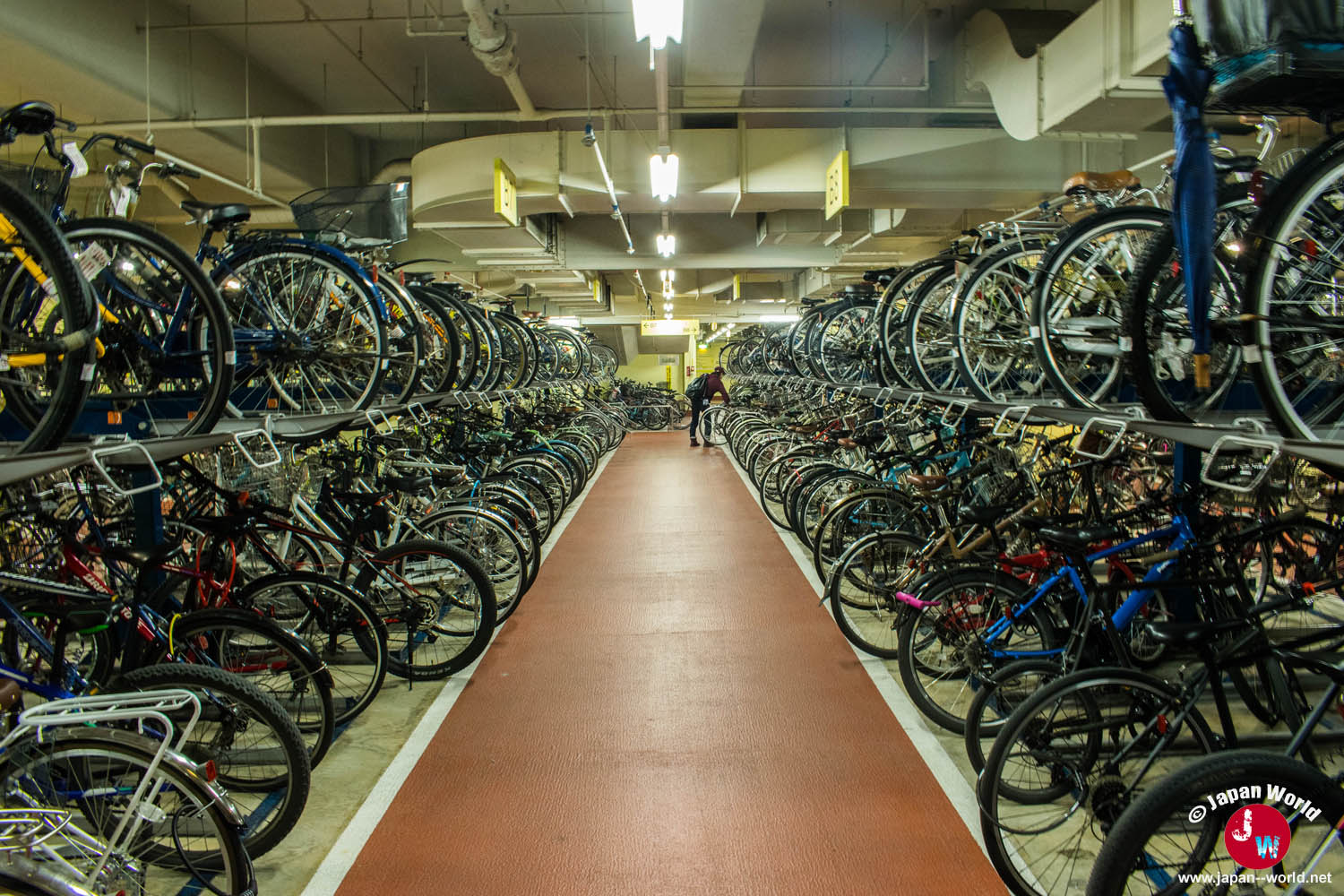 Rangées de vélos sur deux niveaux dans un parking souterrain à Fukuoka