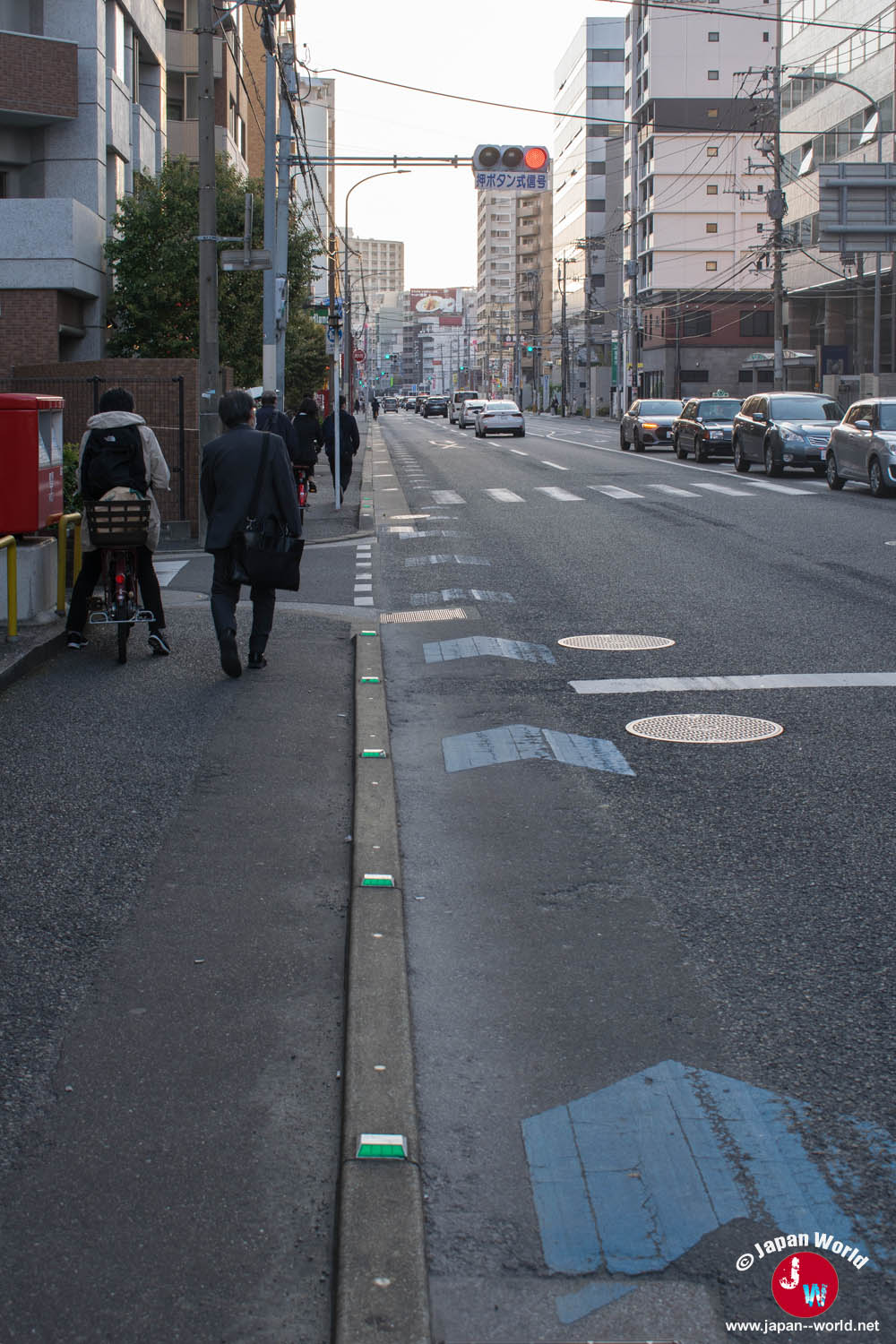 Piste cyclable signalée en bleu le long d’une avenue urbaine à Fukuoka