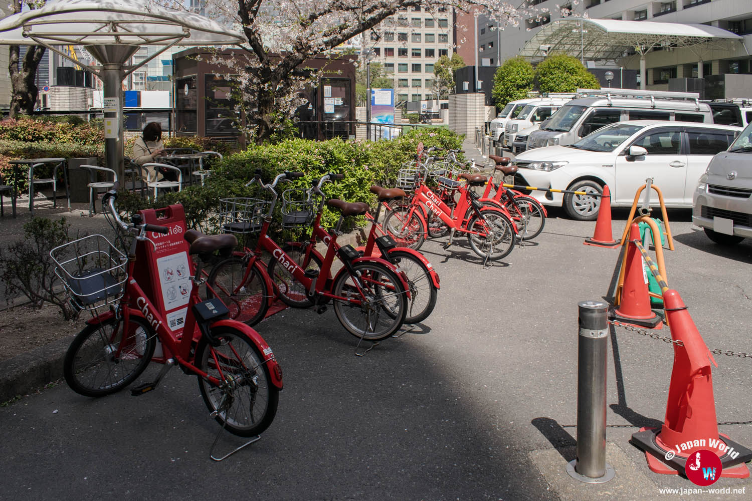 Station de vélos en libre-service Chari sous les cerisiers à Fukuoka