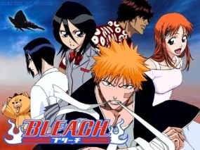 Affiche de l'anime Bleach