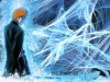 Bleach Image 2