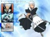 Bleach Image 25