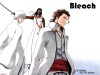 Bleach Image 27